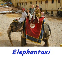 Elefantaxy