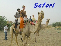 Safari