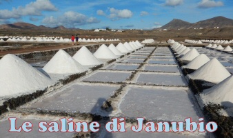 saline