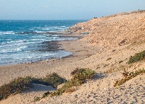 massa