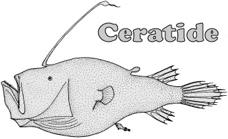 ceratide