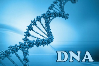 DNA