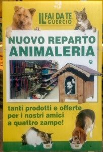 Guercio