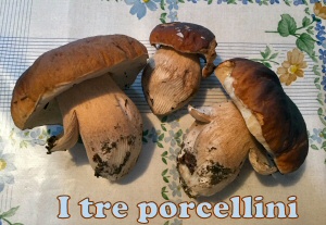 porcellini