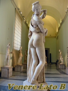 callipigia