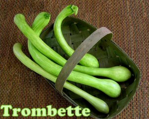 trombette